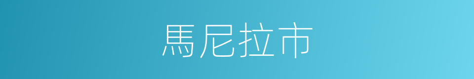 馬尼拉市的同義詞