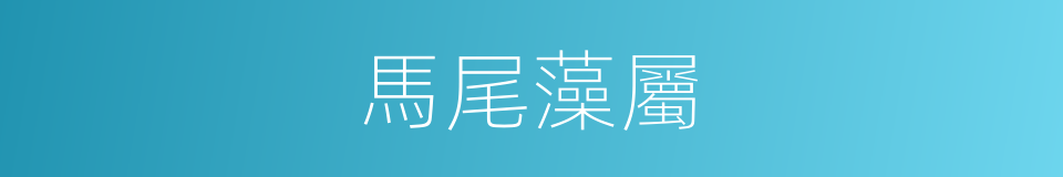 馬尾藻屬的同義詞