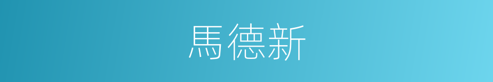 馬德新的同義詞