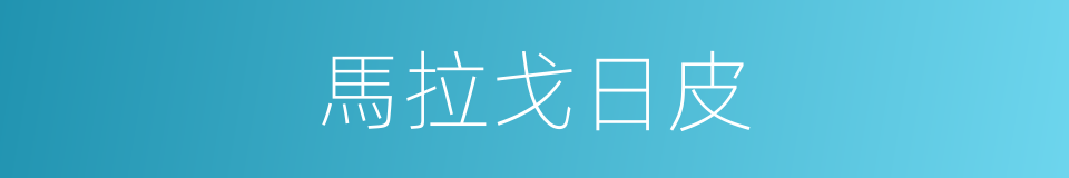 馬拉戈日皮的同義詞