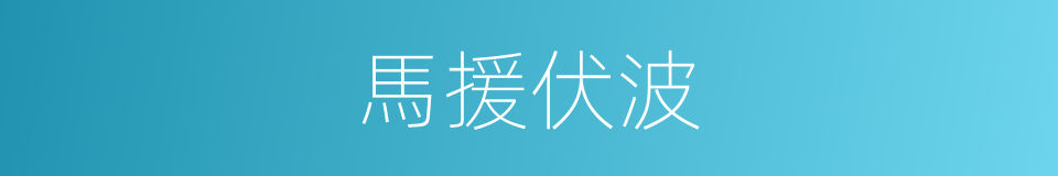 馬援伏波的同義詞
