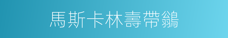 馬斯卡林壽帶鶲的同義詞