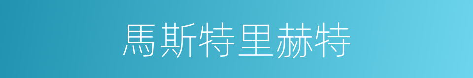 馬斯特里赫特的同義詞