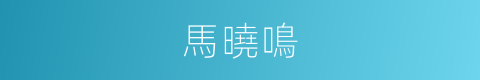 馬曉鳴的同義詞