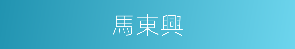 馬東興的同義詞