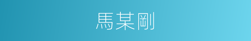 馬某剛的同義詞