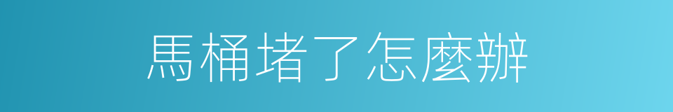 馬桶堵了怎麼辦的同義詞