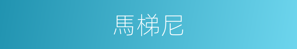 馬梯尼的同義詞