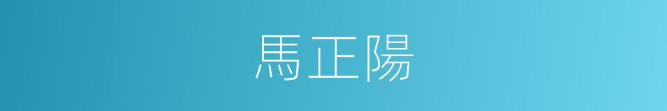 馬正陽的同義詞