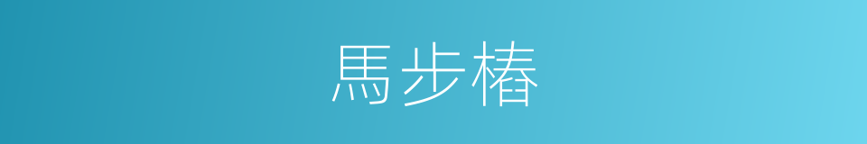 馬步樁的同義詞
