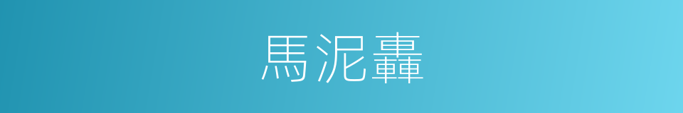 馬泥轟的同義詞