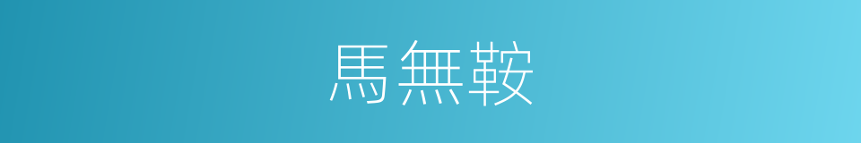 馬無鞍的同義詞