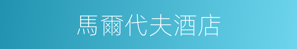 馬爾代夫酒店的同義詞