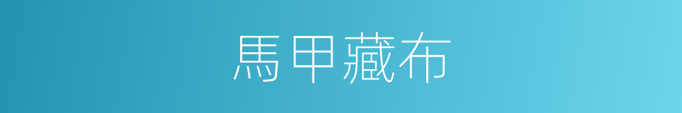馬甲藏布的同義詞