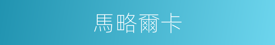 馬略爾卡的同義詞