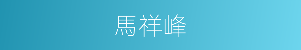 馬祥峰的同義詞
