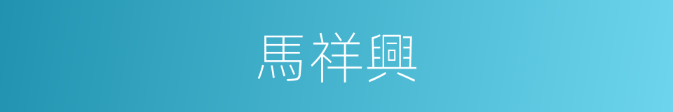 馬祥興的同義詞