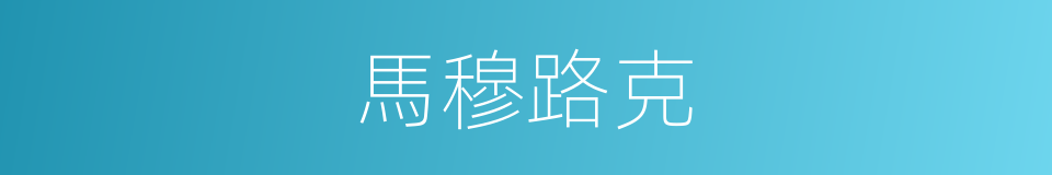 馬穆路克的意思