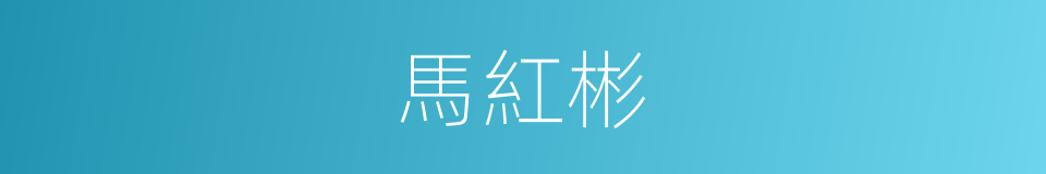 馬紅彬的同義詞