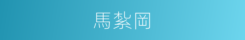 馬紮岡的同義詞