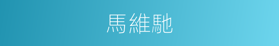 馬維馳的同義詞