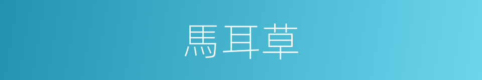 馬耳草的同義詞