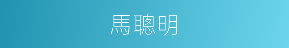 馬聰明的同義詞