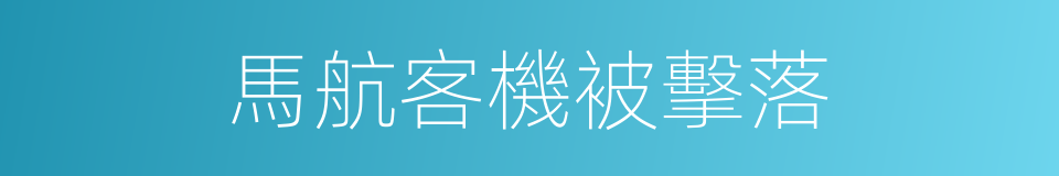 馬航客機被擊落的同義詞