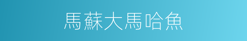 馬蘇大馬哈魚的同義詞
