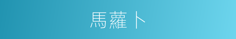 馬蘿卜的同義詞