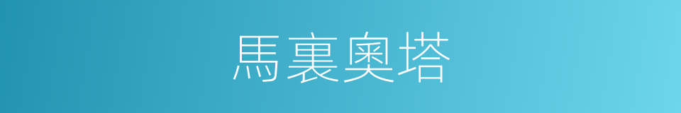 馬裏奧塔的同義詞