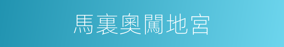 馬裏奧闖地宮的同義詞