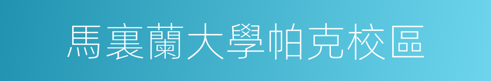 馬裏蘭大學帕克校區的同義詞