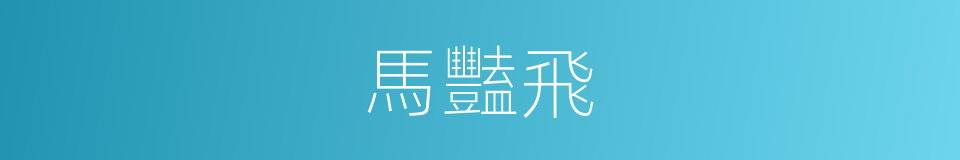 馬豔飛的同義詞