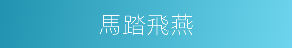 馬踏飛燕的意思