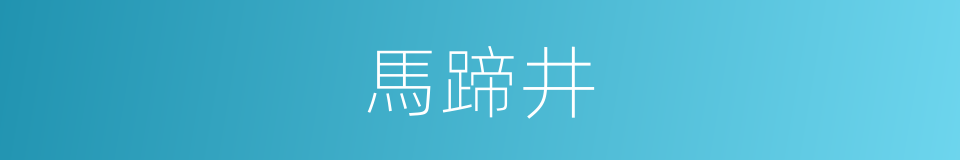 馬蹄井的意思