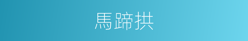 馬蹄拱的同義詞