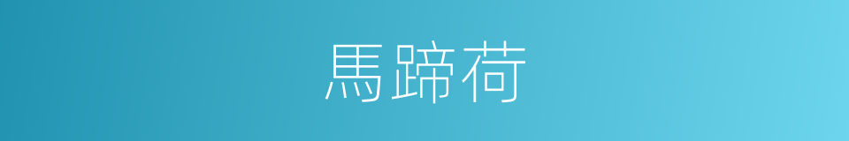 馬蹄荷的同義詞