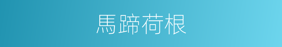 馬蹄荷根的同義詞