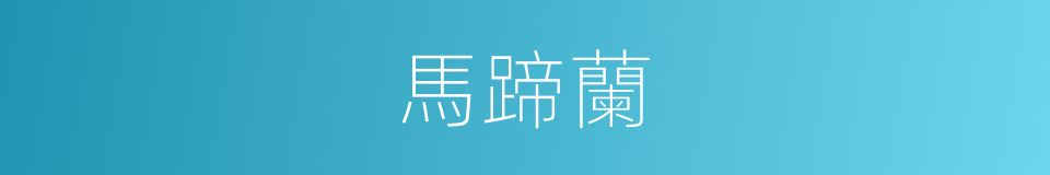 馬蹄蘭的同義詞