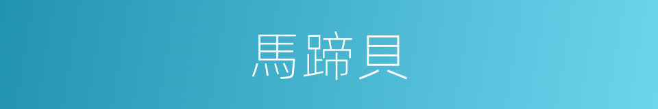 馬蹄貝的同義詞