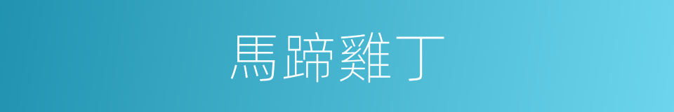 馬蹄雞丁的同義詞