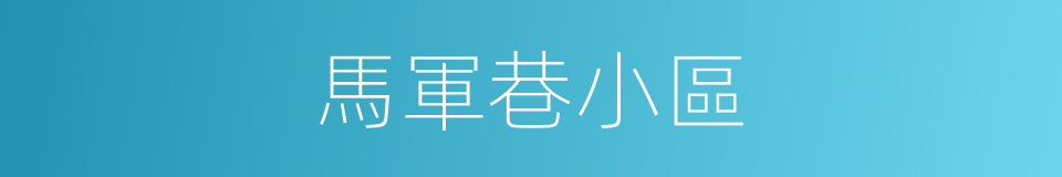 馬軍巷小區的同義詞