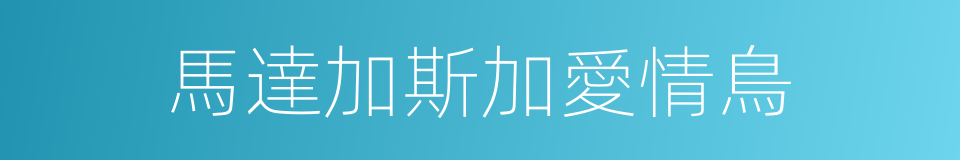 馬達加斯加愛情鳥的同義詞