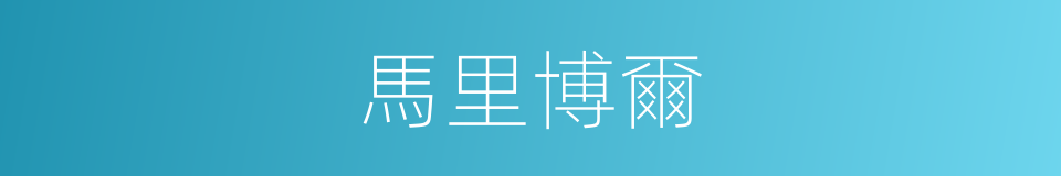 馬里博爾的同義詞