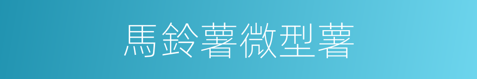 馬鈴薯微型薯的同義詞