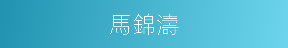 馬錦濤的同義詞