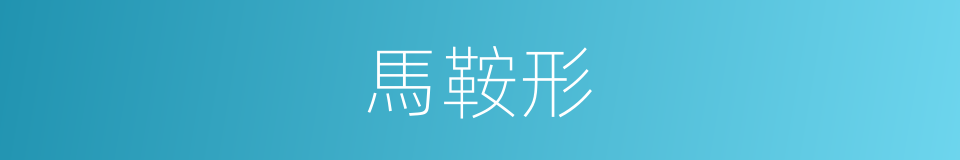 馬鞍形的意思