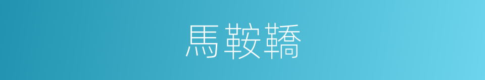 馬鞍鞽的意思