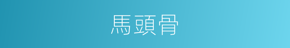 馬頭骨的同義詞